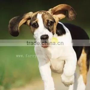 2015 Wholesale Frisbee, High Quality Silicone Frisbee, Dog Toy thumbnail-1