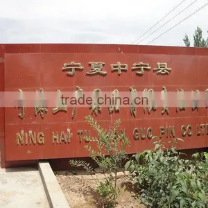 Ningxia Ninghai Goji Berry thumbnail-1