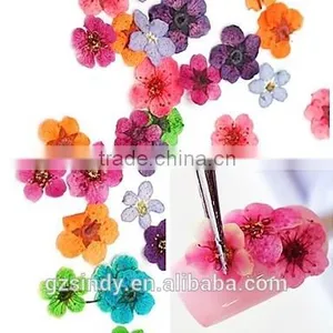 Stickers & Decals Cheap 3D Dry Flower, Mix 12 Color Decorations Real Dried Dry Flower for Nail Art Decorations ZX:GH741 thumbnail-1