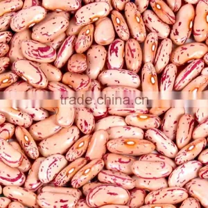 Red Speckled Kidney Beans thumbnail-1