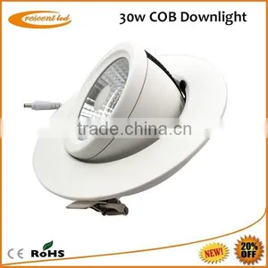 Exclusive Design 30w Decorative Led Downlights Lights thumbnail-5