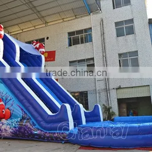 Commercial Inflatable Nemo Cartoon Water Slide With Pool, Giant Inflatable Water Slide for Sale Quality Choice thumbnail-1
