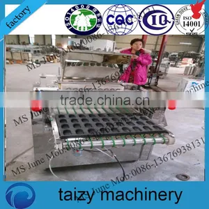Factory Machine Cup Cake Filling Machine thumbnail-4