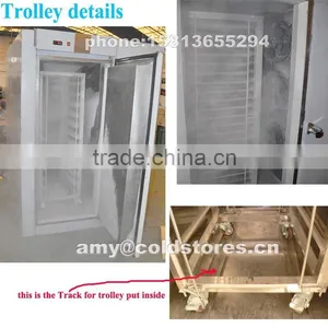 Quick Freezer for 400kg Okra Instant Freezing thumbnail-4
