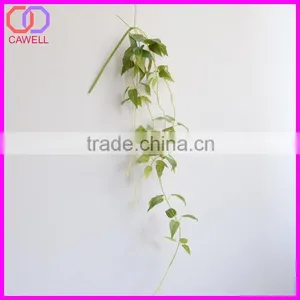 Outdoor Plastic Wall Covering,artificial Plant Wall,wall Planting thumbnail-1