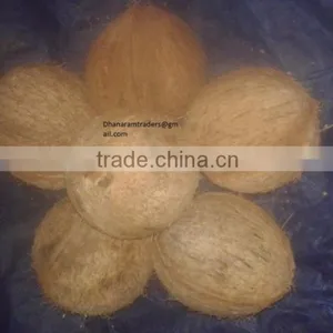 Organic Coconuts Exporter thumbnail-1