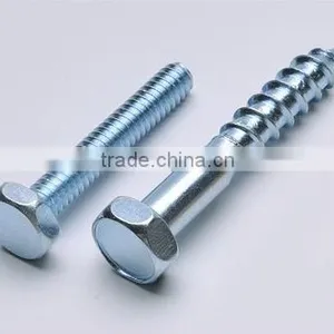 DIN571 Hex Head Coach Screws Self Color thumbnail-1