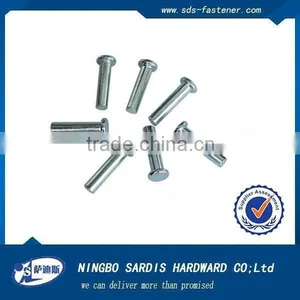 Ningbo Supplier Manufacture Rivet Rivet Head Screws and Flat Head Solid Rivets China thumbnail-1