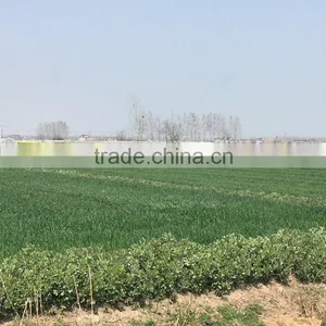 Professional 10L 6 Rotor UAV Load Crop Agricultural Irrigation Agricultural Pesticide Sprayer Drone Sprayer thumbnail-5