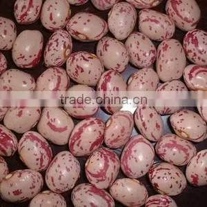 SPECKLED KIDNEY BEANS thumbnail-4