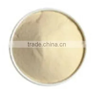 Vital Wheat Gluten thumbnail-1
