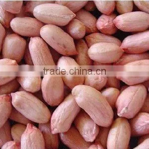 Groundnut Peanut Kernel thumbnail-1