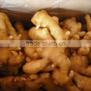 Fresh Ginger 10kg/ctn thumbnail-1
