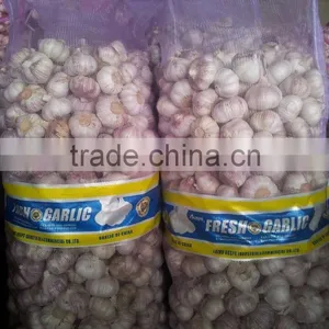 Fresh Garlic 2015 Crop thumbnail-4