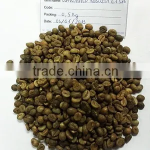 VIETNAM ROBUSTA COFFEE BEANS SCREEN 16 ORIGINAL thumbnail-3