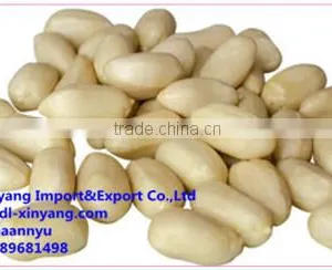 New Crop Blanched Peanut thumbnail-2