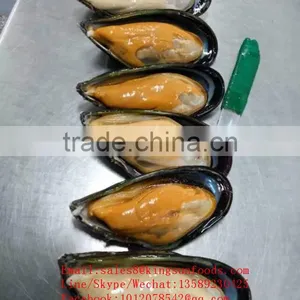 Seafood Shellfish High Quality Half Shell Mussel With Good Price thumbnail-1