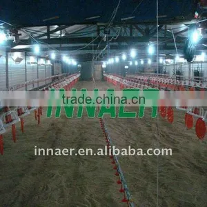 Automatic Feeding Line for Layers and Broilers thumbnail-1
