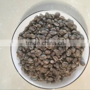 Arabica Green Coffee Beans thumbnail-3