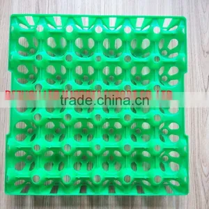 China High Quality Plastic Egg Tray for 30 Chicken Eggs thumbnail-4