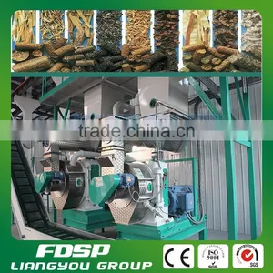 Corn Stalk Granulator Plant Biomass Granule Production Project thumbnail-6