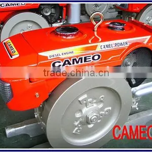 A2-CP120 11HP/12HP Small Diesel Motor Farm Diesel Motor Good Diesel Motor thumbnail-2