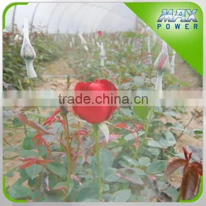 Industrial Rose/vegetable/herb Greenhouse Irrigation System thumbnail-5