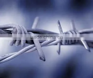 Galvanized Barbed Wire/single Strand Four Pints Barbed Wire/double Strands Barbed Wire thumbnail-1
