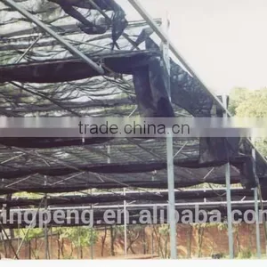 Insect Net Covered Shade House thumbnail-2