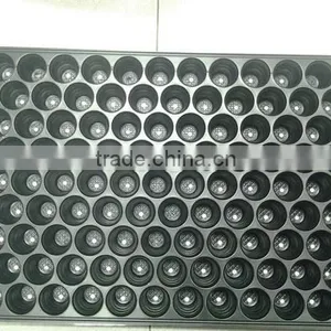 New Coming Excellent Quality Low Price Black Seedling Plug Tray thumbnail-2