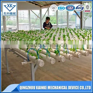 Reasonable Designed Glass/ PC/ Film Greenhouse With Hydroponic System thumbnail-3