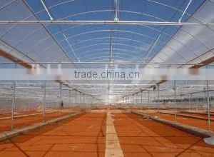 Single-Span Agricultural Planting Plastic Greenhouse thumbnail-5