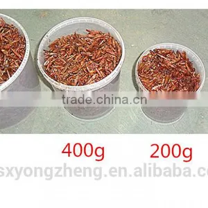 Drum(100g) Packed Freeze Dried Crickets For Wild Bird ;Dried Cricket For Bird thumbnail-2