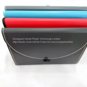 2017 New Design Modern Hot Selling A4 PP Foam Expanding File thumbnail-5