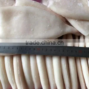 Frozen Squid Tubes With Different Size in Sale thumbnail-1