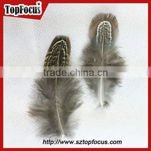 Lower Price Natural Synthetic Pheasant Feathers for Carnival Costumes thumbnail-6