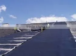 Geomembranes-HDPE Membrane thumbnail-1