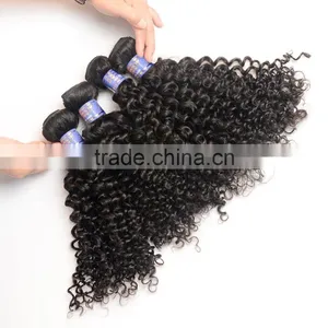 Wholesale Virgin Malaysian Hair, 100% Unprocessed Malaysian Virgin Hair, Malaysian Hair Curly Bundles thumbnail-1