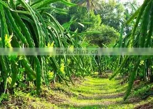 Thanh Dat Agricultural Seafood Processing Company Limited company overview - view 1 thumbnail