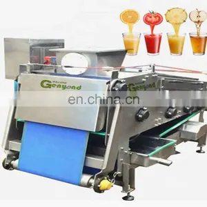 Cold Press Orange Juicer Belt Extractor Machine thumbnail-2