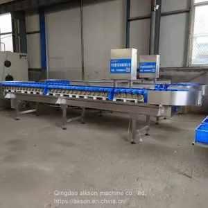 Chicken Weight Sorting Machine thumbnail-2
