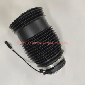 2133200125 2133200225 Hot Selling Nice Quality Rear Air Spring for Mercedes Benz W213 C238 W253 GLC CLS W257 C257 Rear LH & RH 2017-- thumbnail-1