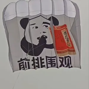 OEM All Shapes, Design and Kinds of Kites for Advertising and Activities Occasions thumbnail-2