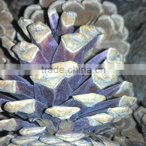 Christmas Tree Decoration Pine Cone thumbnail-2