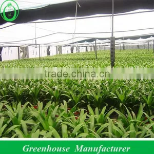 Winter Greenhouse With Film Coverage thumbnail-1