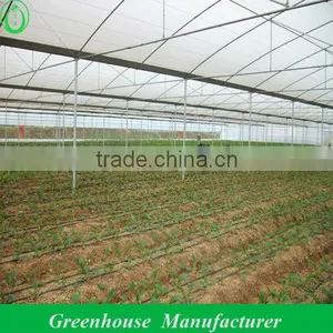 200Micro Agricultural Greenhouses for Tomato thumbnail-1