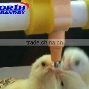 Poultry Farming Equipment Pig Feeder thumbnail-4