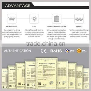 Shenzhen Syllighting Co., Ltd. company overview - view 2 thumbnail