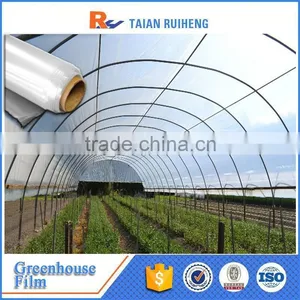 Professional Factory Greenhouse Plastic Film, PE Greenhouse Plastic thumbnail-5