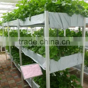 Garden Greenhouse Three Layer Hydroponics for Agricultural thumbnail-1